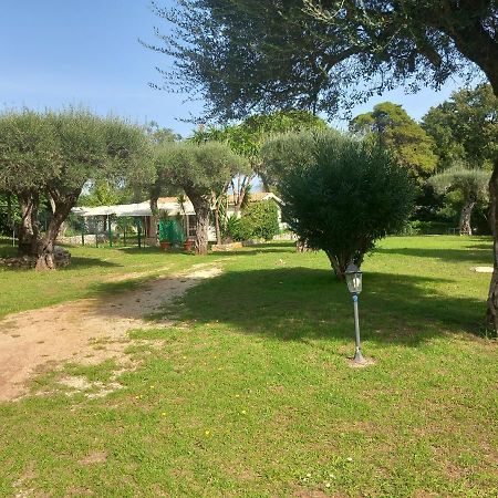 Katia Cottage Kassiopi Exterior foto